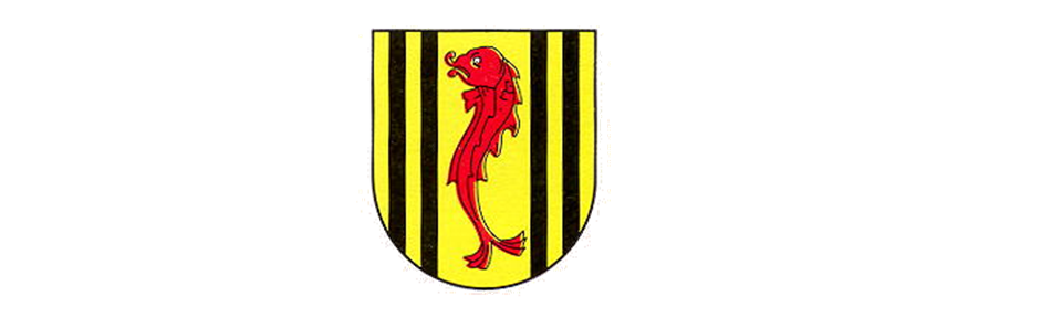 snimka5